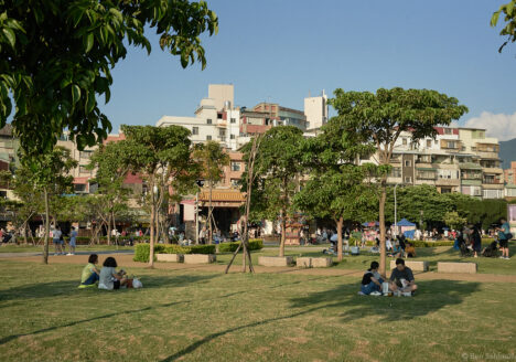 A park, people sitting in small groups. Each group is gathered on a narrow circle of shadow, thrown by a tree.