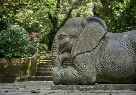 The stone statue of a baby elephant, resting at the side of a stone hiking trail.